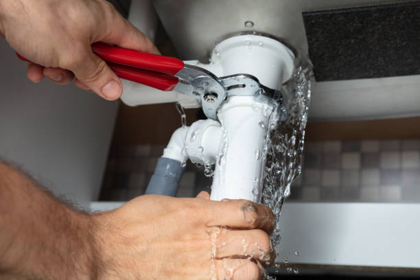 Best Professional water damage repair  in Braddock Heights, MD