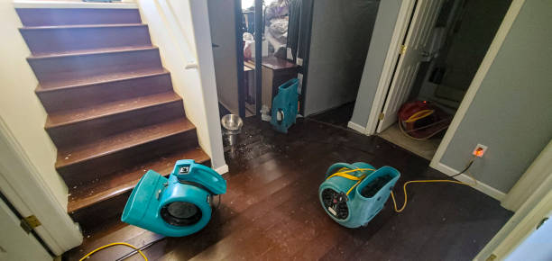 Local water damage restoration in MD