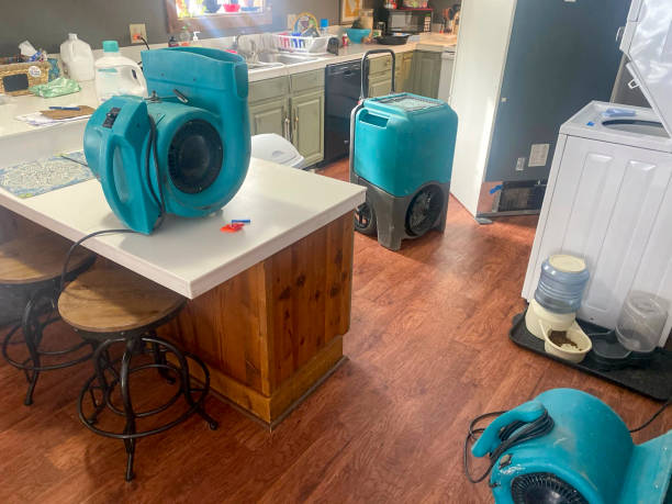 Best Water damage restoration cost  in Braddock Heights, MD