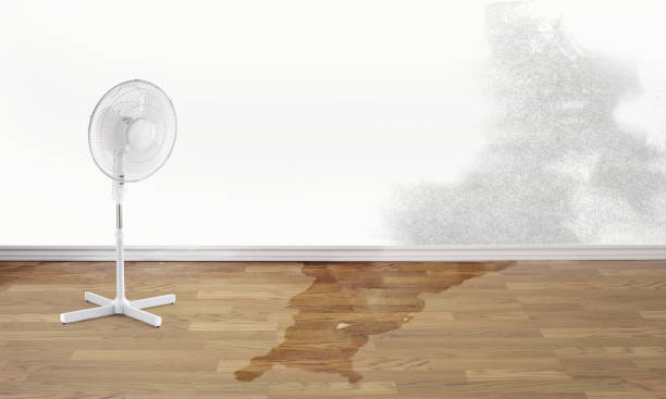 Best Flooded house restoration  in Braddock Heights, MD