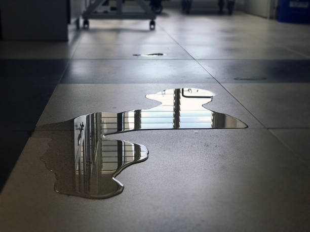 Best 24-hour water damage restoration  in Braddock Heights, MD