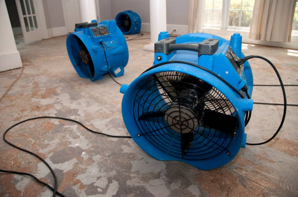 Best Fire Damage Restoration  in Braddock Heights, MD