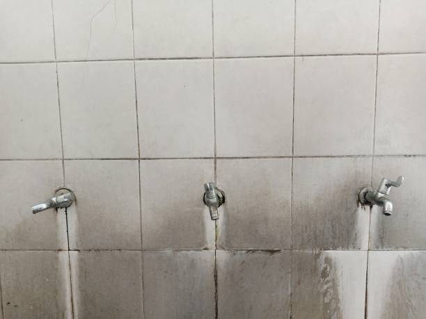 Best Carpet water damage restoration  in Braddock Heights, MD