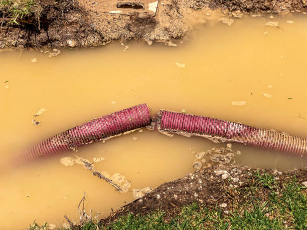 Best 24/7 water damage repair  in Braddock Heights, MD