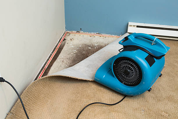 Best Ceiling water damage repair  in Braddock Heights, MD